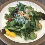 IL PLANETARIO - セットメニューのサラダ