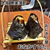 おにぎり屋 おなかすいた。