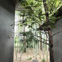エヴァム・エヴァ・ヤマナシ・アジ - 窓から竹林がのぞく