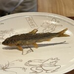 旬彩天 つちや - 