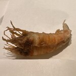 天麩羅 杉 - 三河湾　アカシャエビ