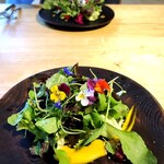 アグリスケープ - 