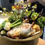 アグリスケープ - 