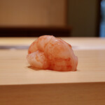 鮨 めい乃 - □ボタンエビ