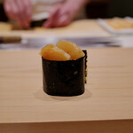 鮨 めい乃 - ◎小柱