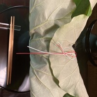 京都 吉兆 嵐山本店 - 