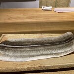 御幸町 田がわ - 