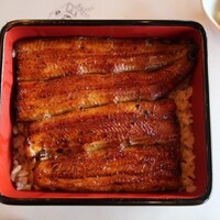 鰻割烹 伊豆栄 本店 - 
