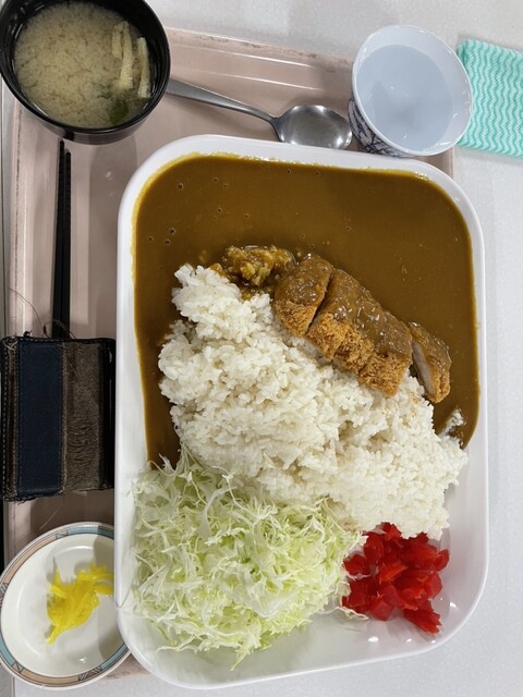 Nerima Ku Shokuin Restaurant La dish