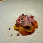 オステリア イル ガルボ - 