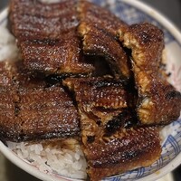 炭焼きうなぎ・かしわ 登河 - 