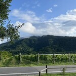 カーブドッチ - 