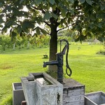 カーブドッチ - 