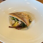 カーブドッチ - 