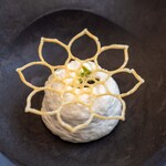 プレゼンテ スギ - 2024.7 我が家のクリームシチュー（フォアグラのテリーヌ、新玉葱ペーストと生クリームの泡、パセリオイル、ノンフライSugiのじゃがりこ）