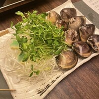 桑名蛤料理・蛤しゃぶしゃぶ 貝新 - しゃぶしゃぶ