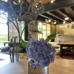 古民家カフェ 晴ノ舎 - 