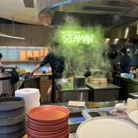 STEAMAN - 