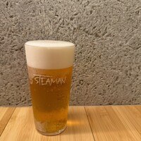 STEAMAN - 