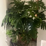 鮨 一二郎 - 外観