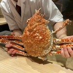 湘南沖地蟹専門店ふじ月 - タカアシガニです