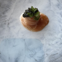 International cuisine subzero - 