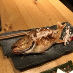 炭火原始焼と蔵元焼酎の店 のどぐろの中俣 築地 - 