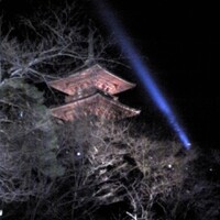 八起庵 丸太町本店 - 