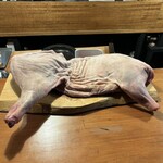 HIGASHITANI  - 2024年7月。訪問