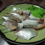 角一 - 2014.3真いわし刺身