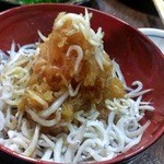 角一 - 2014.3しらすおろし