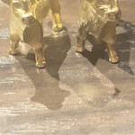 黒毛和牛焼肉 白か黒 - 