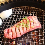 地鶏の里 永楽荘 - 