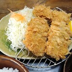 とんかつ専門店 かつ一 - ロースと白身フライのさっぱりおろしポン酢