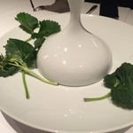 フロリレージュ - 204.03