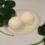 フロリレージュ - 204.03