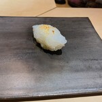 むら上 - アオリイカ