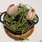 ラ・ヴァガボンド - マカロン