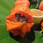 壽山 - ６－３　開けるのが楽しい