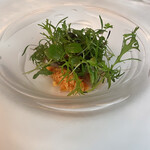 マダム・トキ - クスクスも鯵のマリネも多種の新芽もすべてが美味。