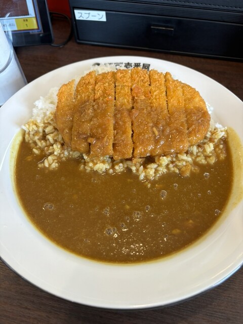 CoCo Ichiban Ya Harugai Kozoji Ten