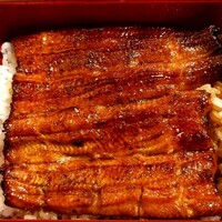 満寿家 - 鰻重上の鰻のみ