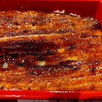 満寿家 - 鰻重特上の鰻のみ