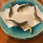 蕎麦流々 千角 - 