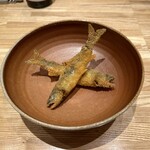 旬菜旬魚 たじま - 