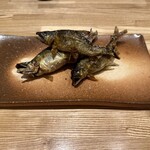 旬菜旬魚 たじま - 