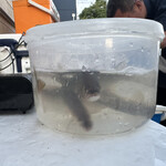 旬菜旬魚 たじま - 