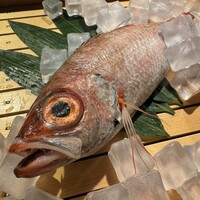 のどぐろ専門 銀座 中俣 - 