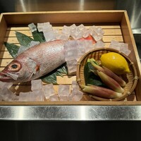 のどぐろ専門 銀座 中俣 - 
