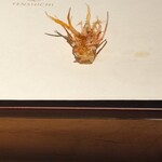 天七 - 海老あし